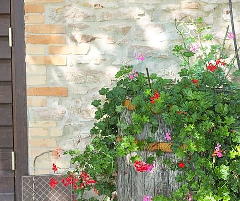 jardineria